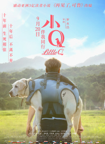 高h视频在线播放